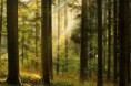 /album/kepgaleria-kezdolap/images-4-jpg/
